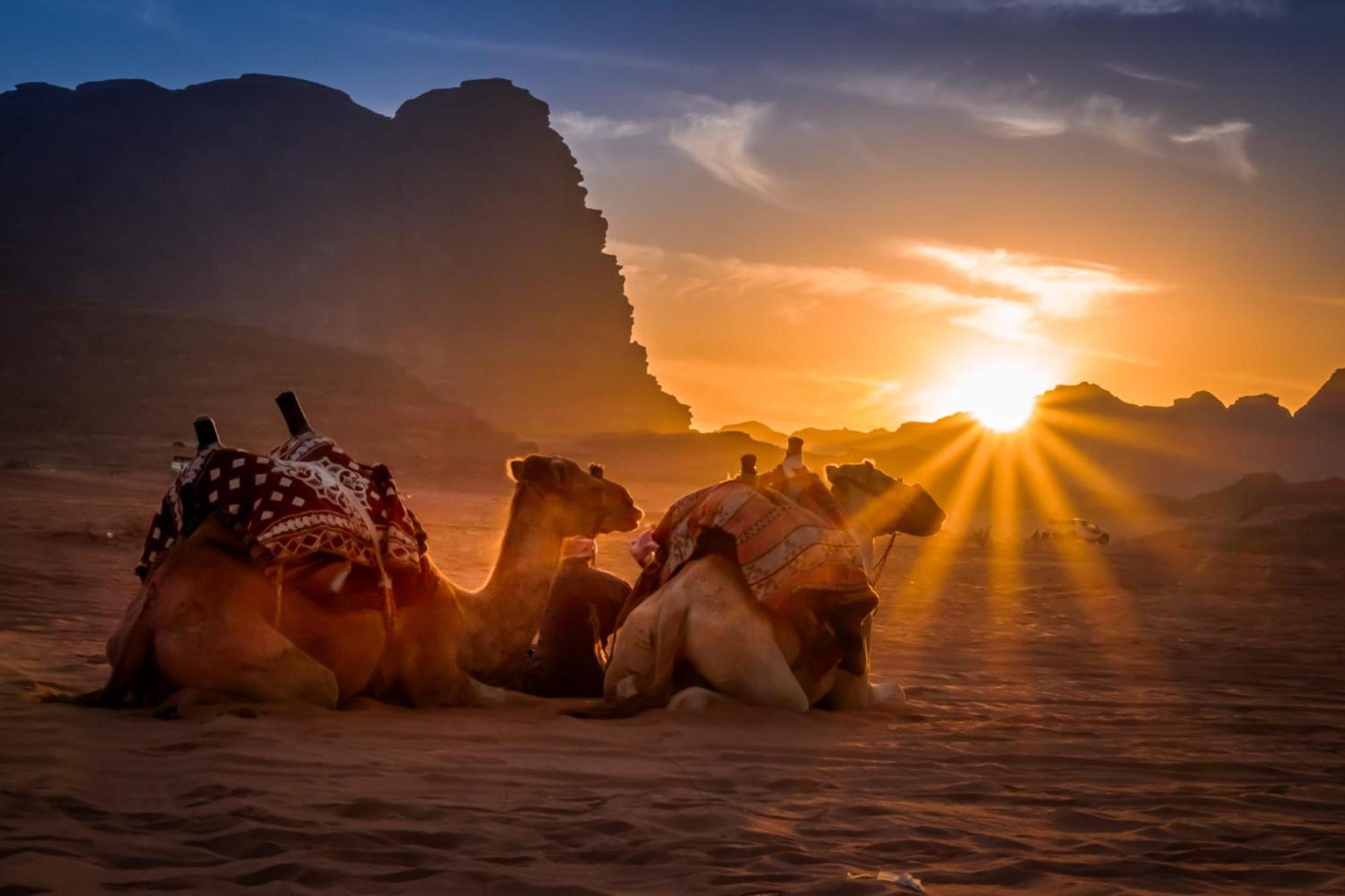 Отель Wadi Rum Caeser Camp Экстерьер фото